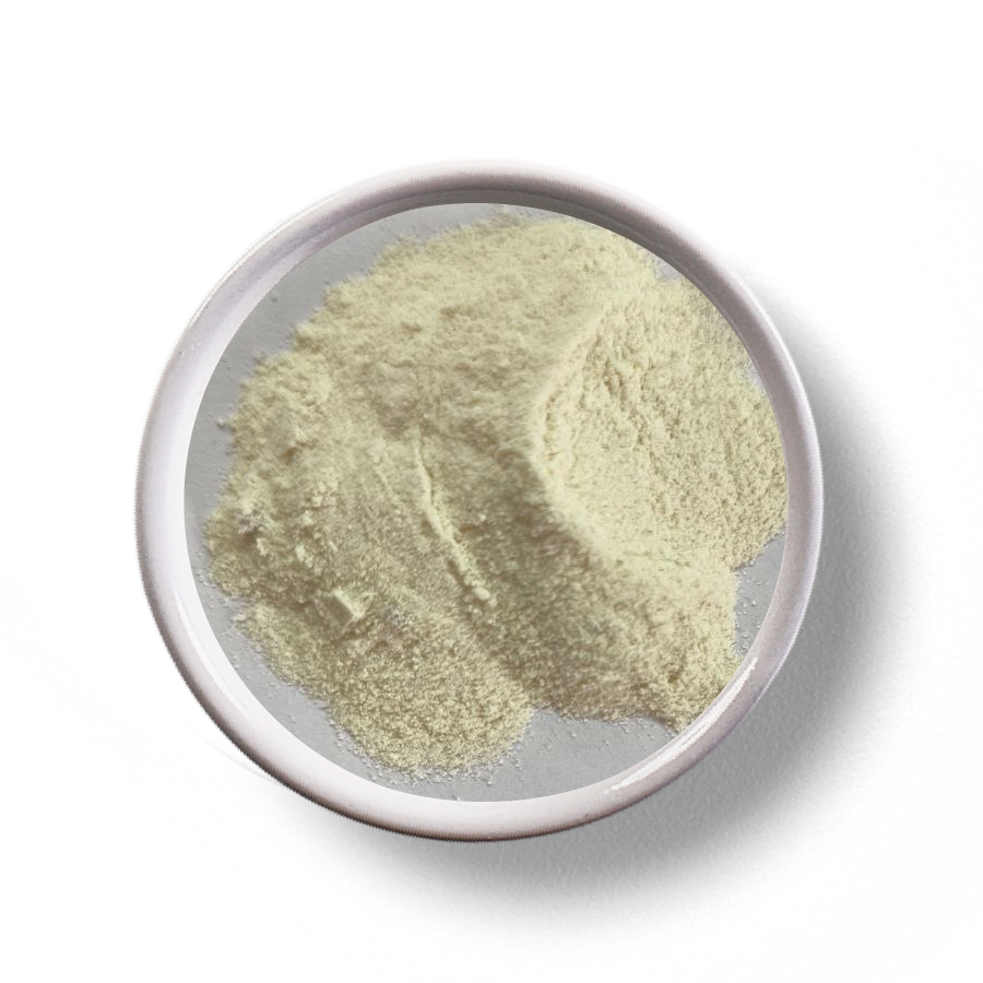 R ДОКТОРСКАЯ ТРАДИЦИОННАЯ